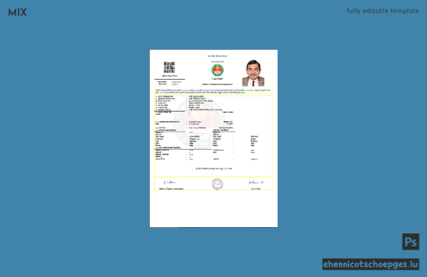Gewerbelizenz der Gazi Travel Service Corporation, Dhaka South City Corporation, Bangladesch, im Word- und PDF-Format, vollständig bearbeitbare Beispielvorschau